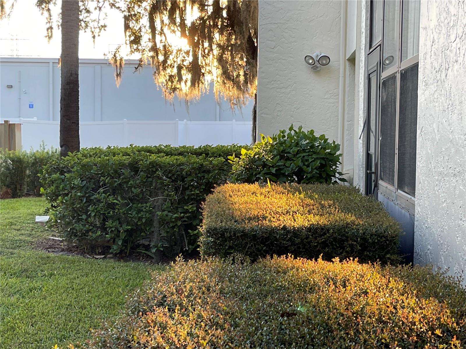 103 PALMETTO CT #103, OLDSMAR, FL, 34677