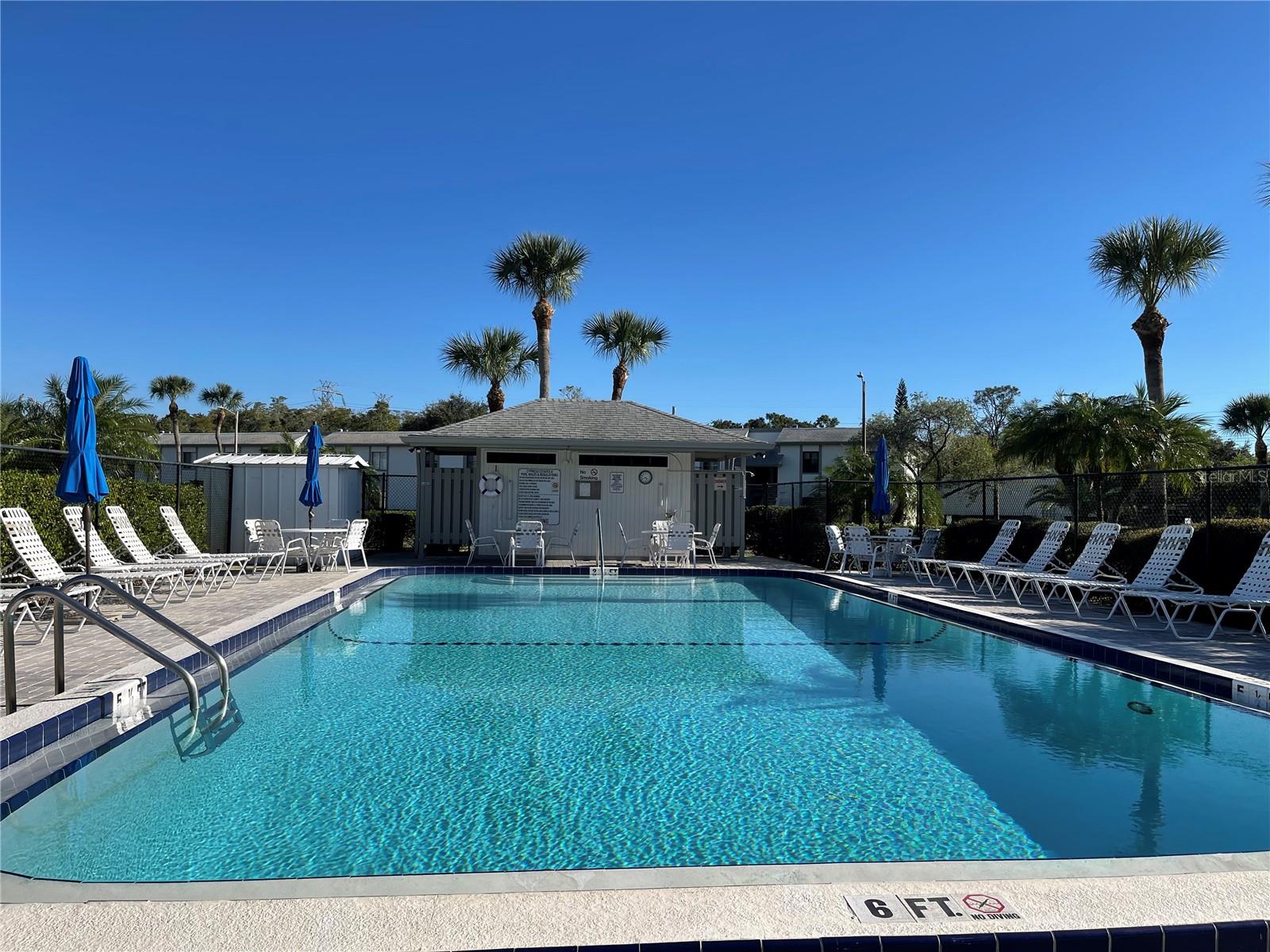 103 PALMETTO CT #103, OLDSMAR, FL, 34677