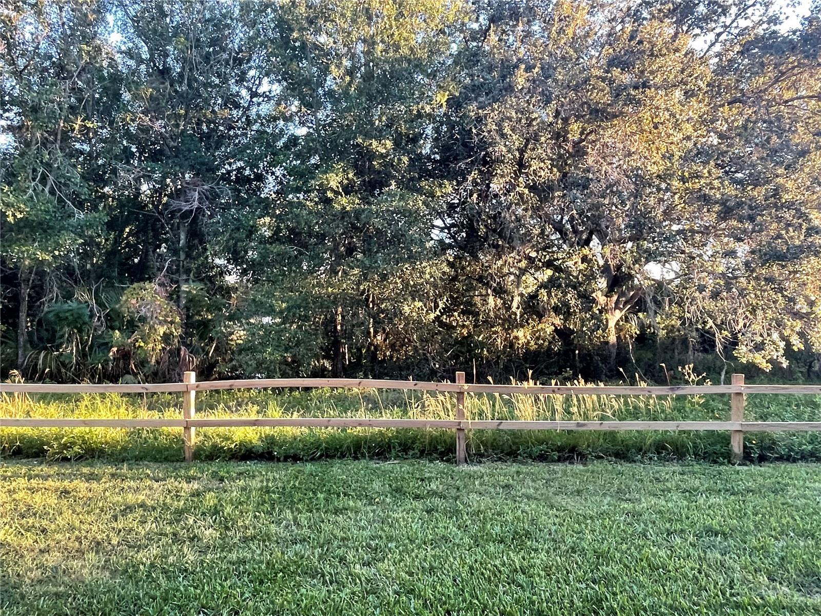103 PALMETTO CT #103, OLDSMAR, FL, 34677