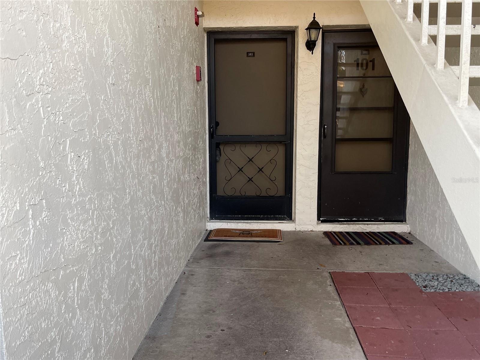 103 PALMETTO CT #103, OLDSMAR, FL, 34677