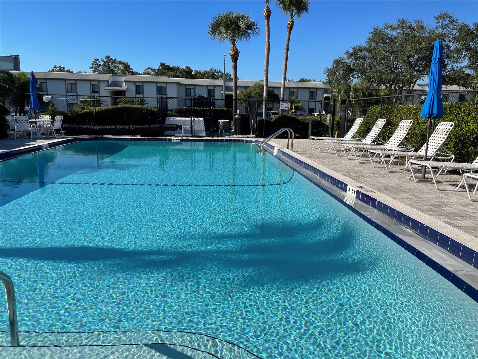 103 PALMETTO CT #103, OLDSMAR, FL, 34677