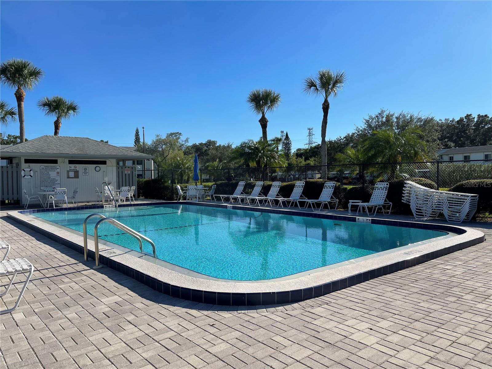 103 PALMETTO CT #103, OLDSMAR, FL, 34677