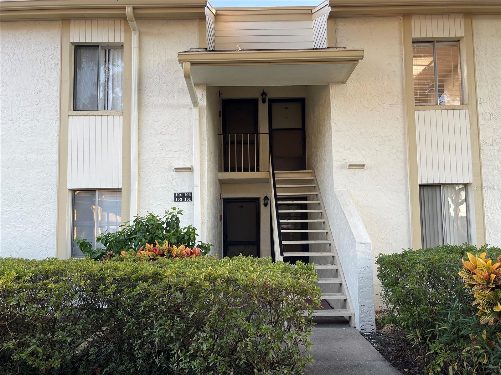 103 PALMETTO CT #103, OLDSMAR, FL, 34677