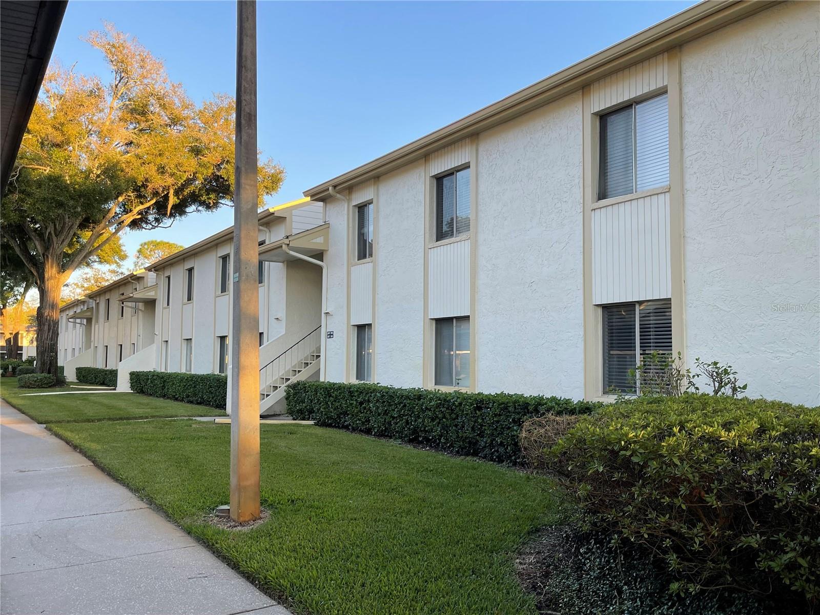103 PALMETTO CT #103, OLDSMAR, FL, 34677