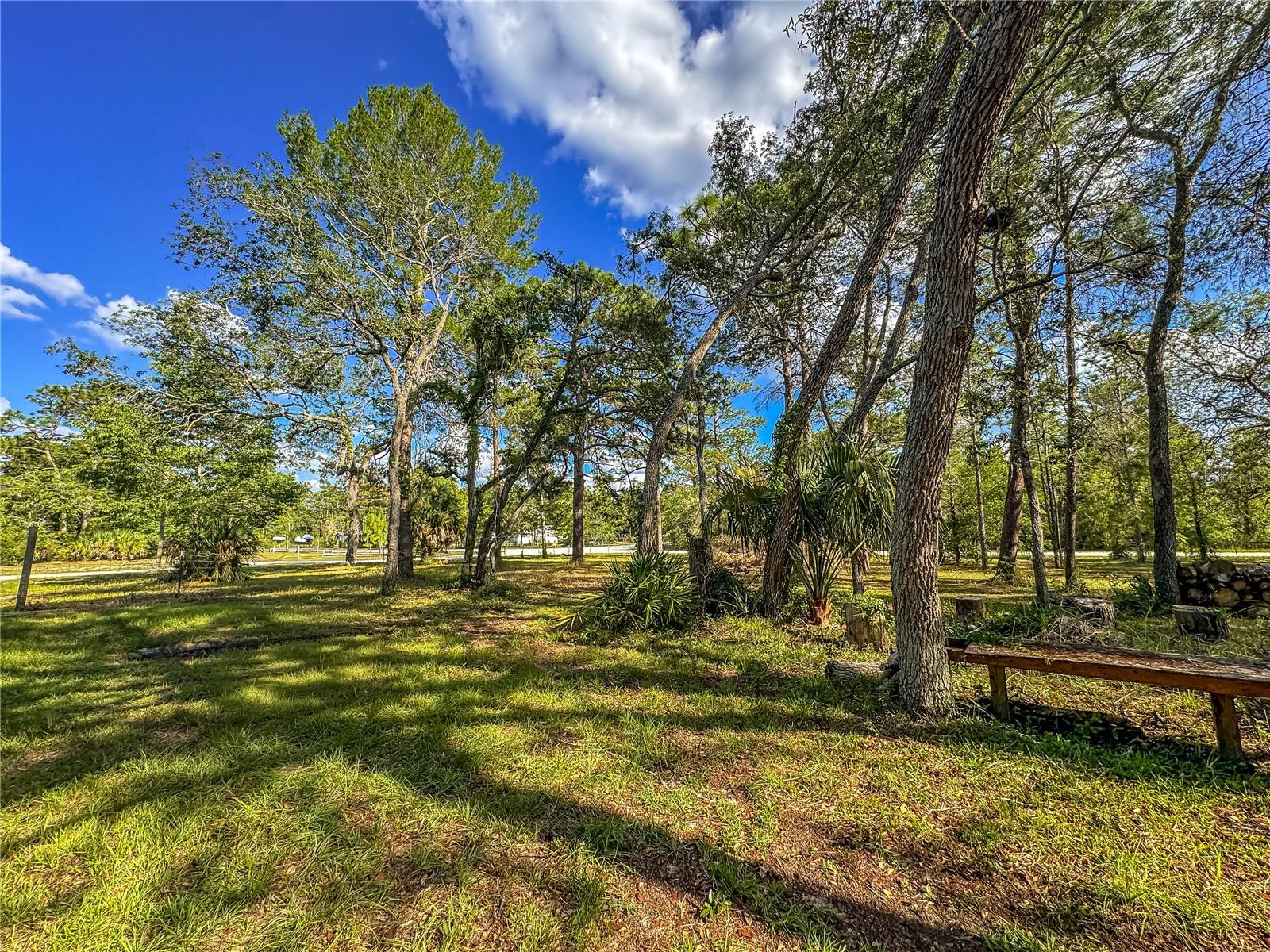 14209 TAYCO DR, WEEKI WACHEE, FL, 34614