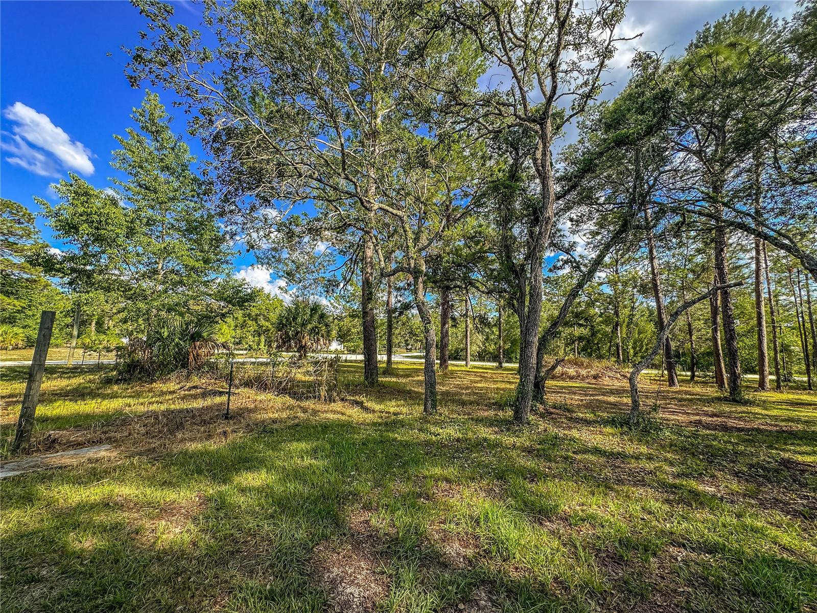 14209 TAYCO DR, WEEKI WACHEE, FL, 34614