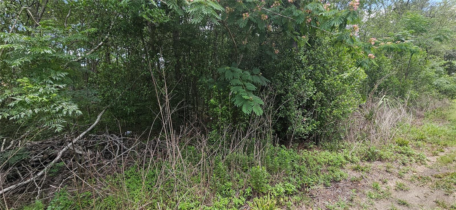 144TH, SUMMERFIELD, FL, 34491