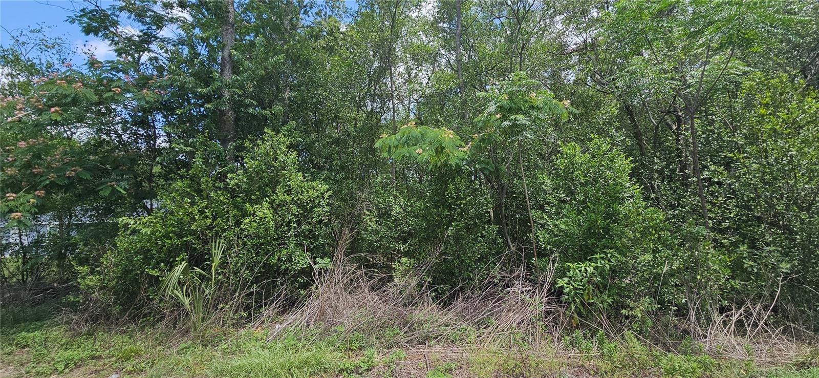 144TH, SUMMERFIELD, FL, 34491