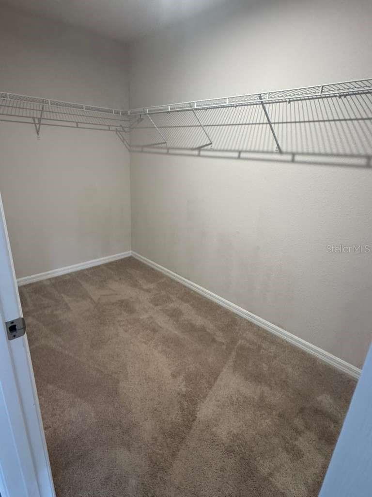 6131 ELFIN HERB WAY, WINTER GARDEN, FL, 34787