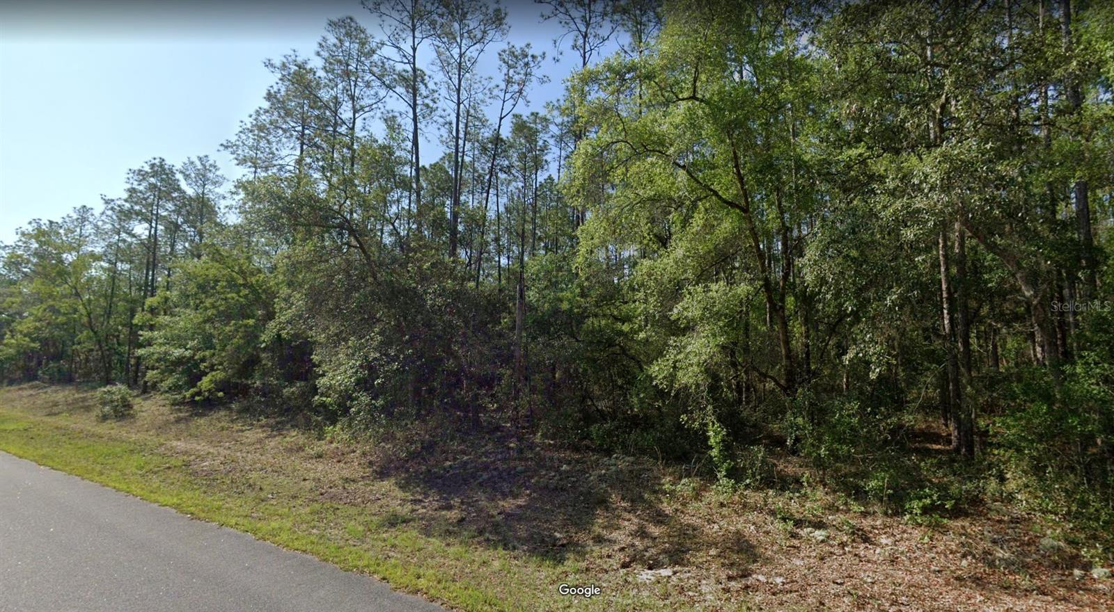 546 E BIMINI DR, DUNNELLON, FL, 34434
