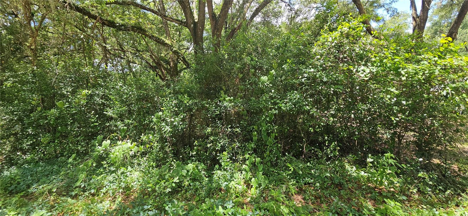 SE 27TH CT, SUMMERFIELD, FL, 34491