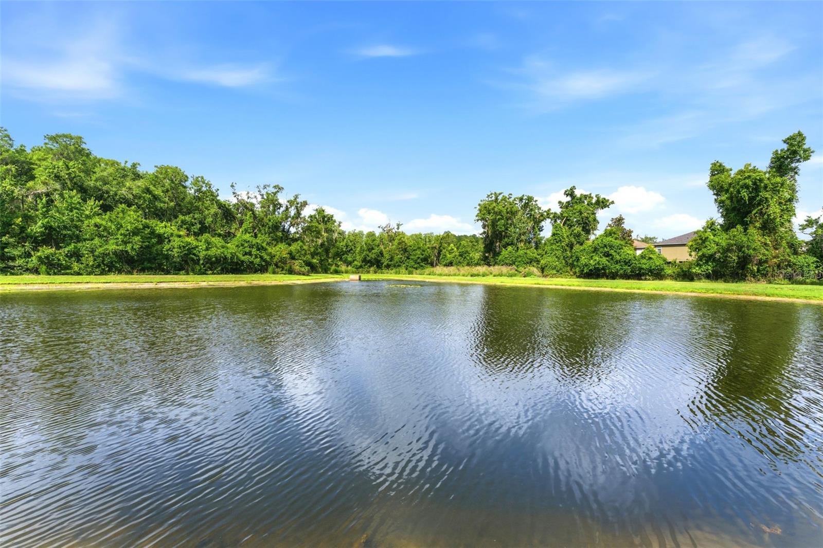 9847 EDMONTON DR, LAND O LAKES, FL, 34638