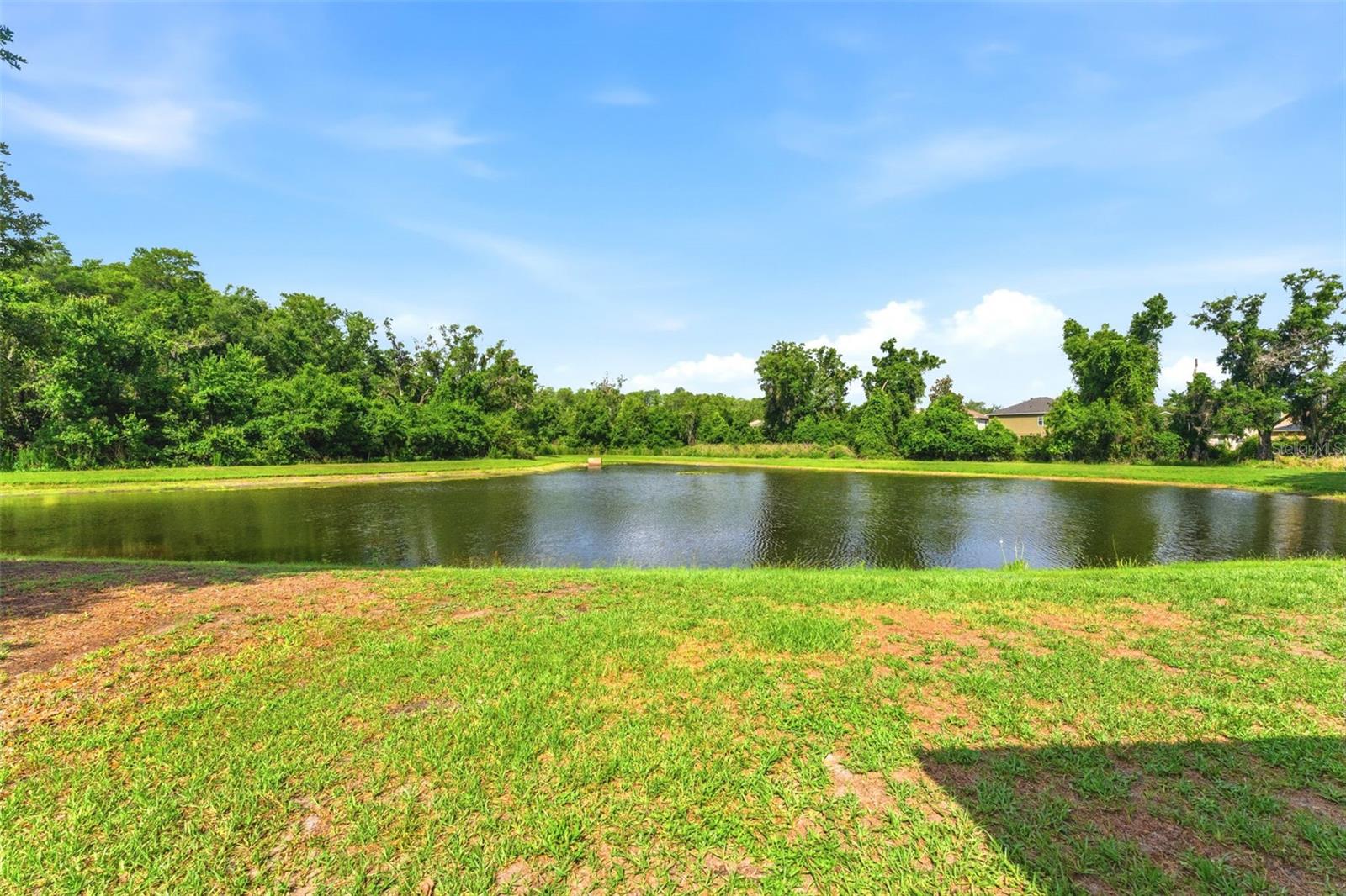 9847 EDMONTON DR, LAND O LAKES, FL, 34638