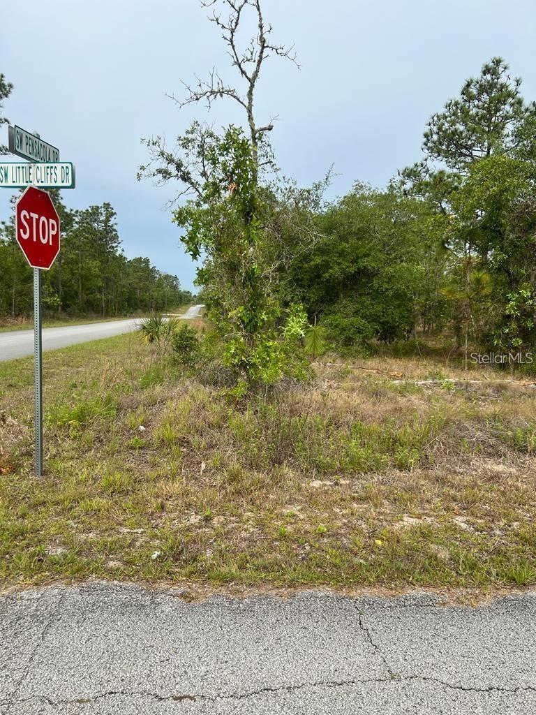 SOUTHWEST PENSACOLA DRIVE, DUNNELLON, FL, 34431