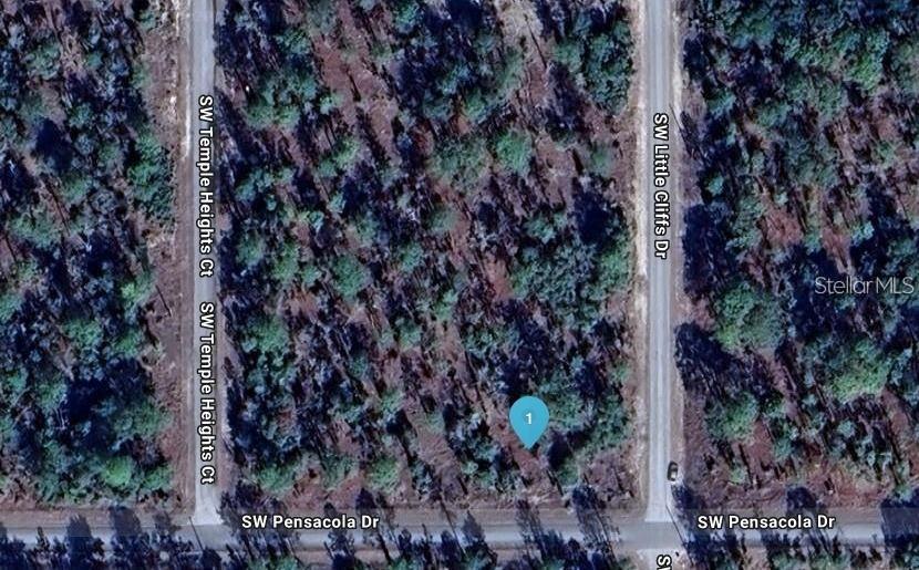 SOUTHWEST PENSACOLA DRIVE, DUNNELLON, FL, 34431