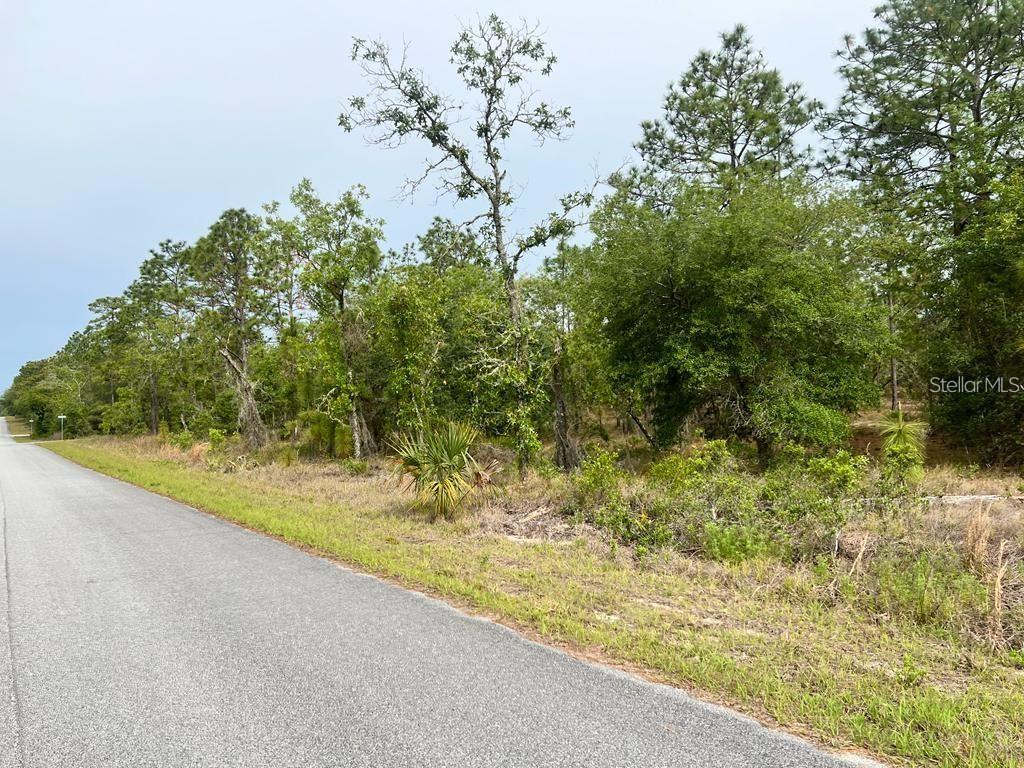 SOUTHWEST PENSACOLA DRIVE, DUNNELLON, FL, 34431