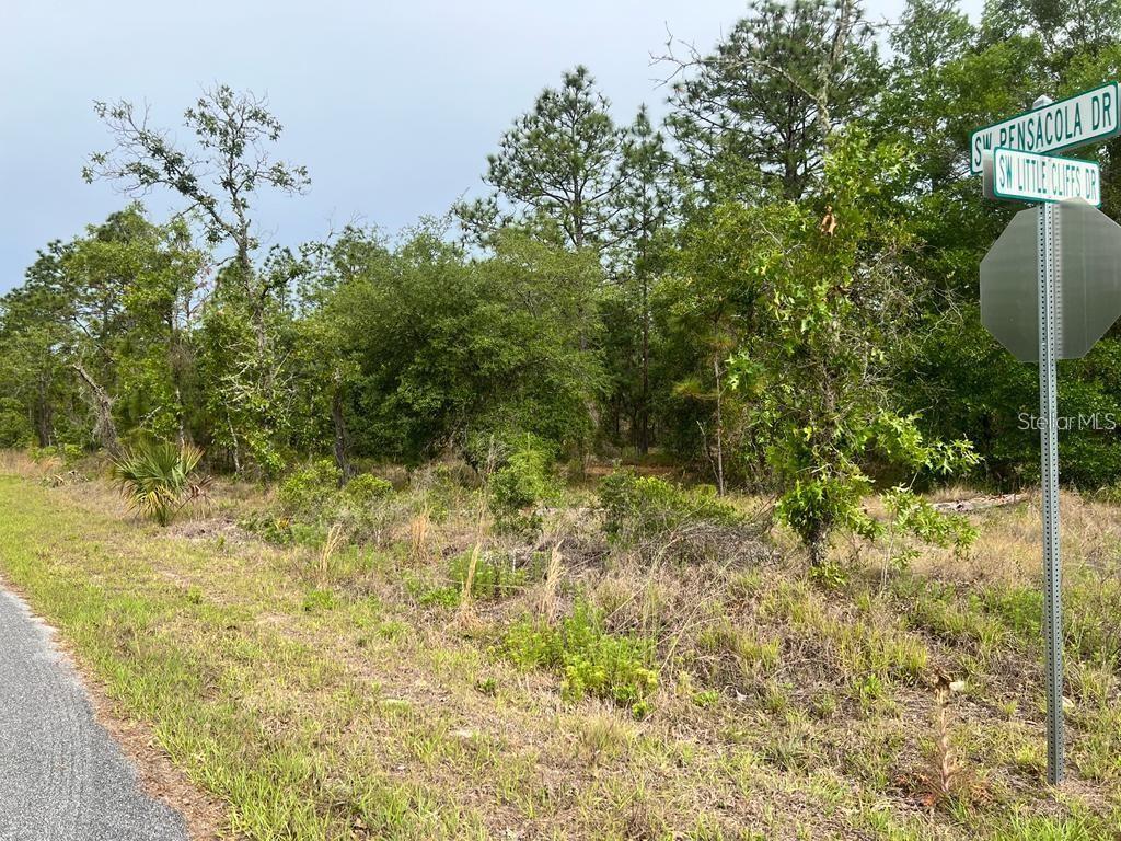 SOUTHWEST PENSACOLA DRIVE, DUNNELLON, FL, 34431