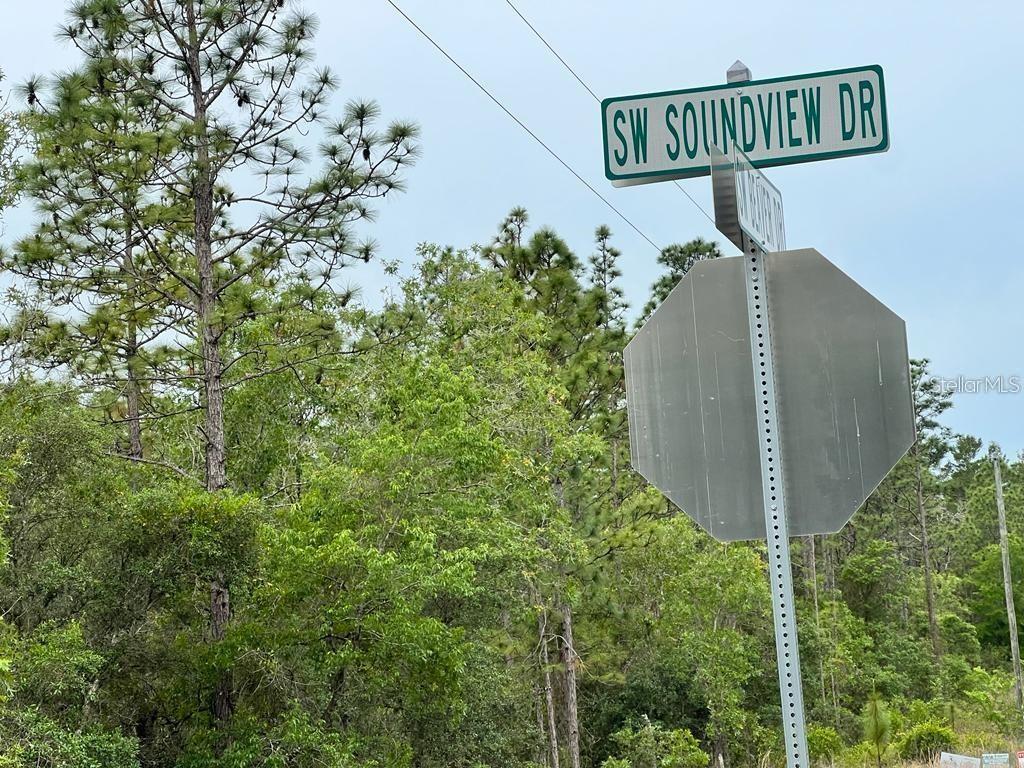 SOUTHWEST PENSACOLA DRIVE, DUNNELLON, FL, 34431