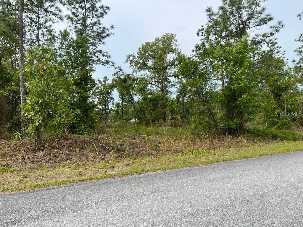 SOUTHWEST PENSACOLA DRIVE, DUNNELLON, FL, 34431