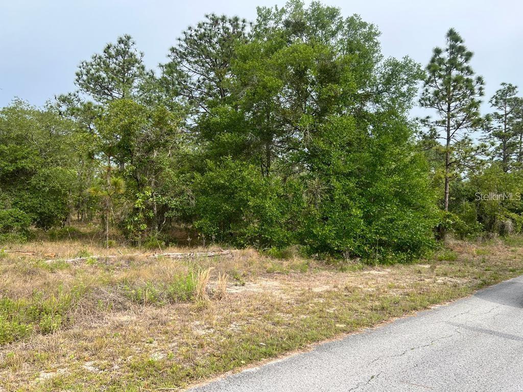 SOUTHWEST PENSACOLA DRIVE, DUNNELLON, FL, 34431