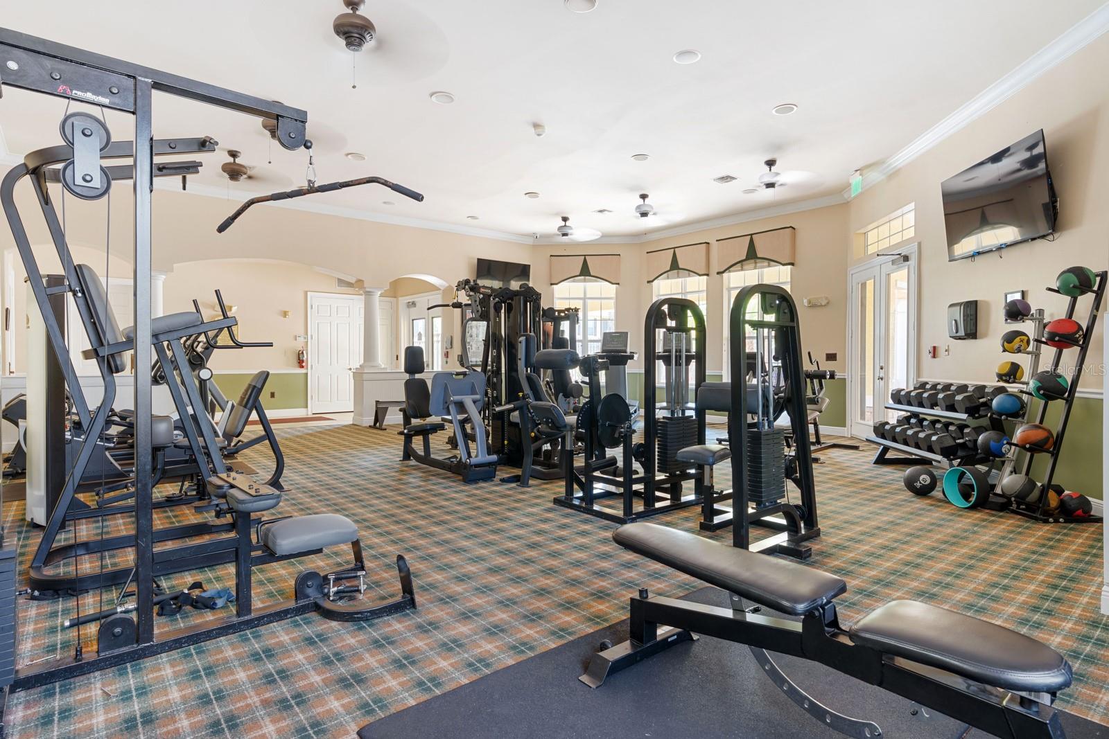 12011 COURTNEY PALMS #303, TAMPA, FL, 33619