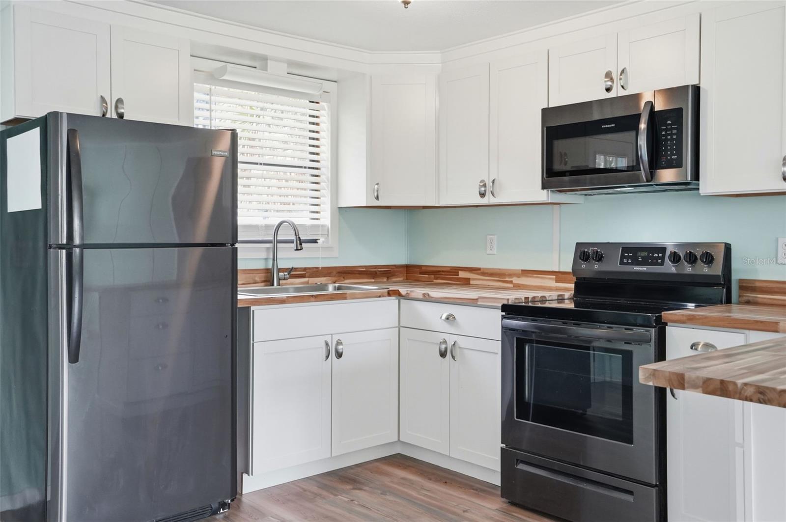 951 CR 453, LAKE PANASOFFKEE, FL, 33538