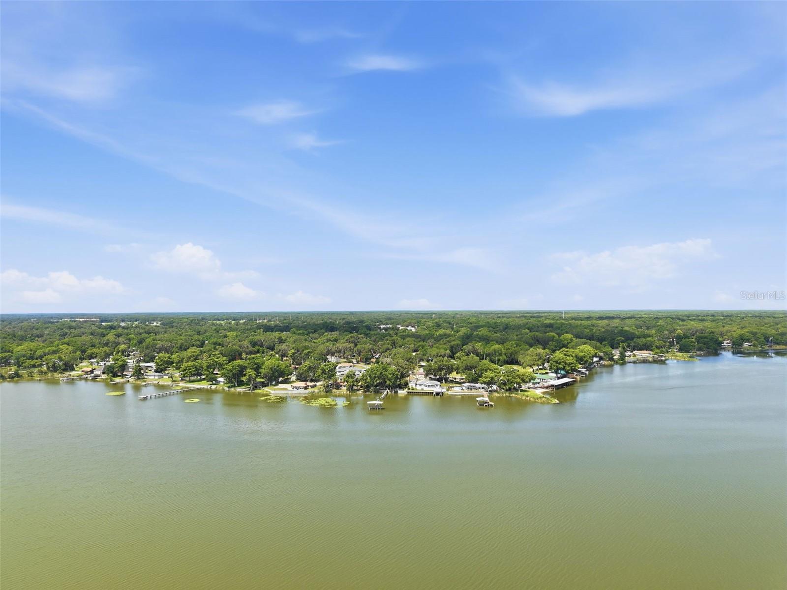 951 CR 453, LAKE PANASOFFKEE, FL, 33538