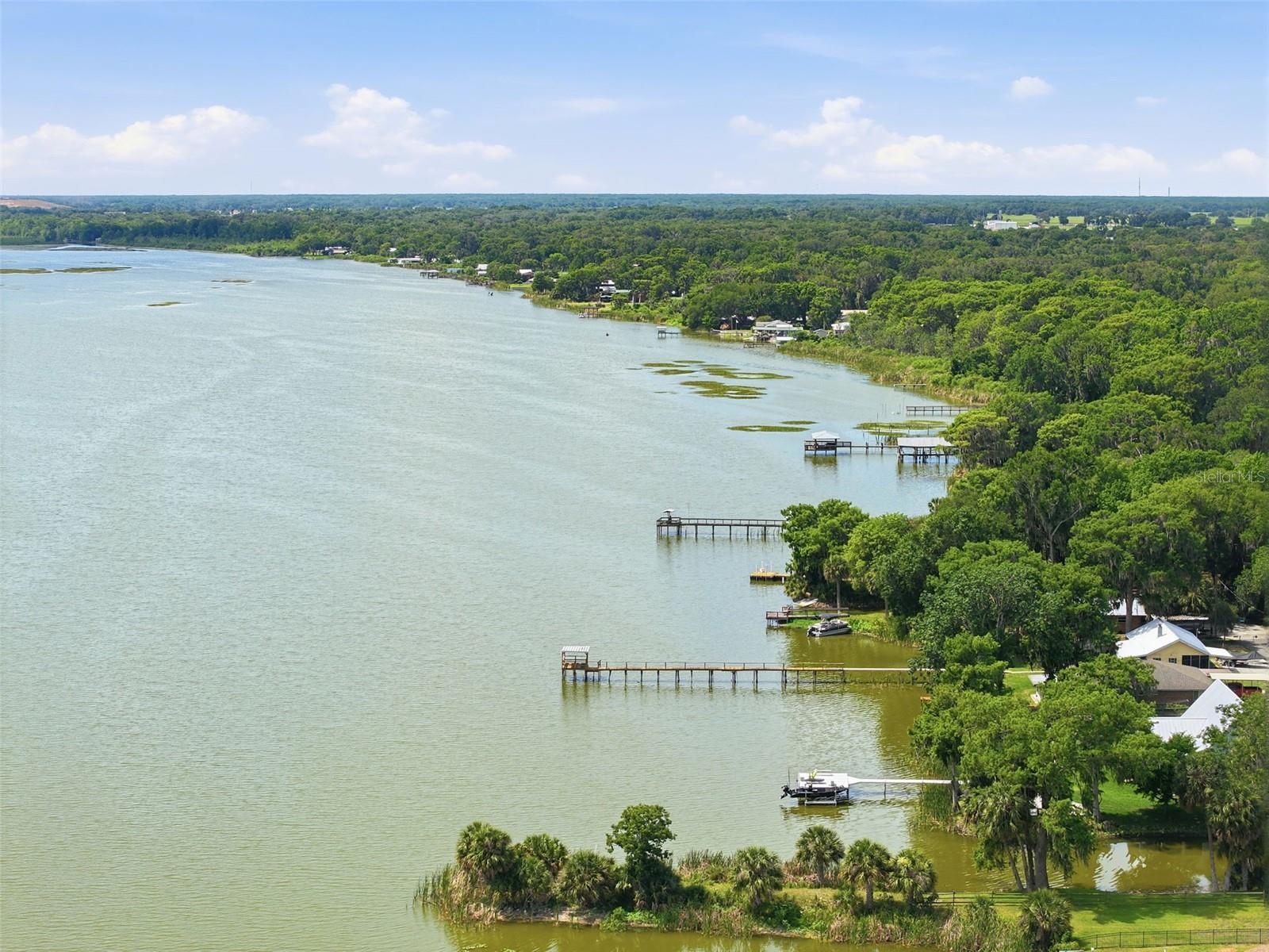 951 CR 453, LAKE PANASOFFKEE, FL, 33538