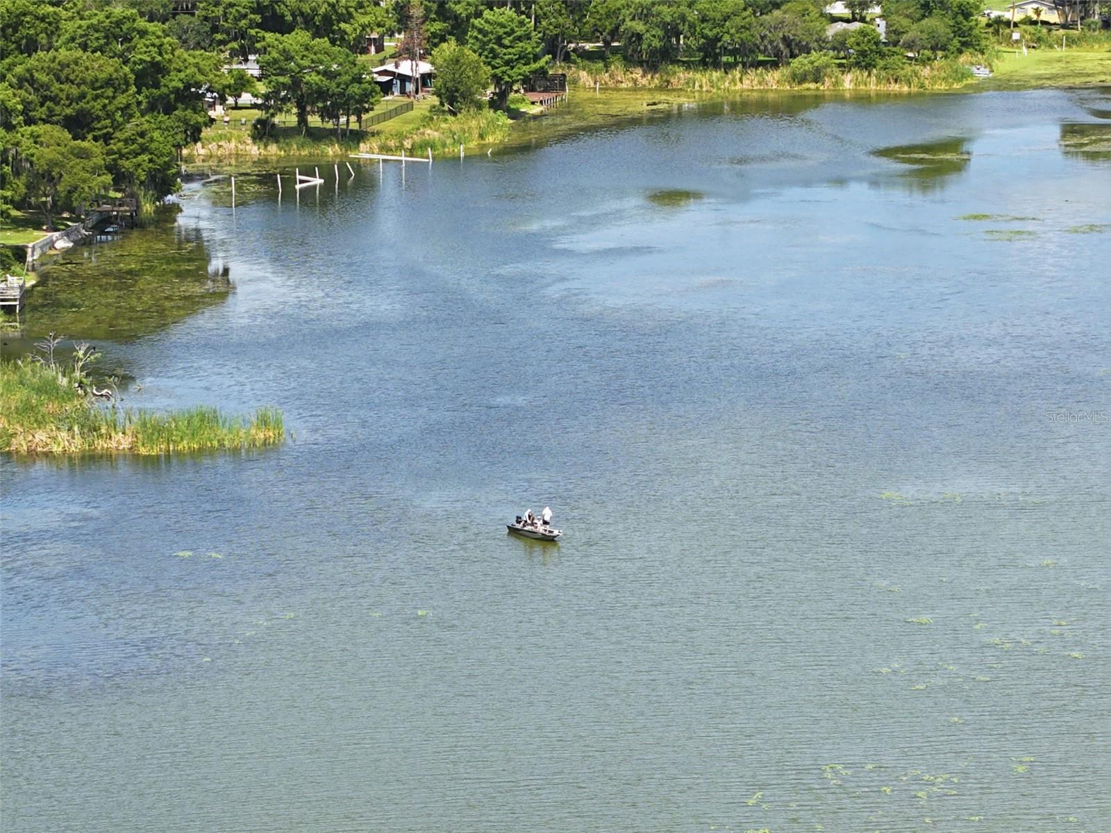 951 CR 453, LAKE PANASOFFKEE, FL, 33538