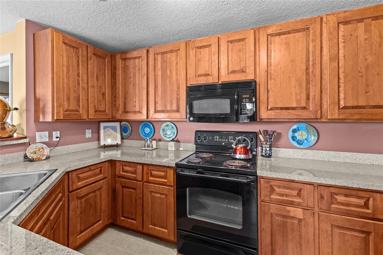 99 BROAD RIVER PL #3206, WELAKA, FL, 32193