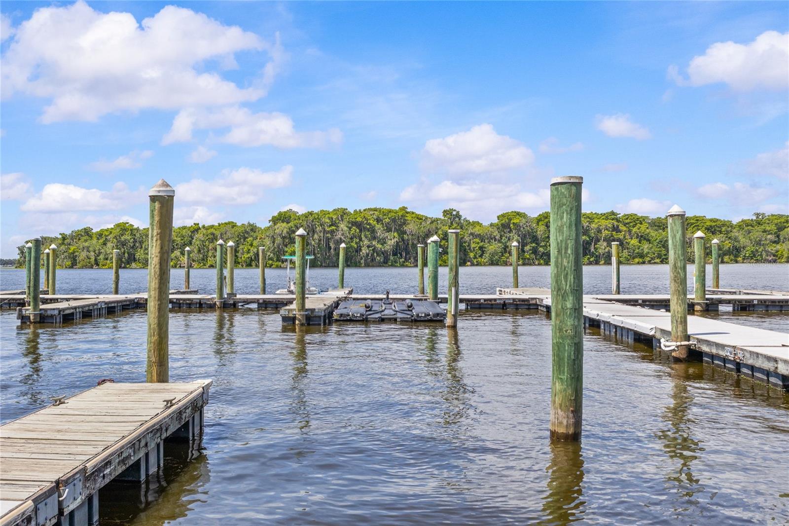 99 BROAD RIVER PL #3206, WELAKA, FL, 32193