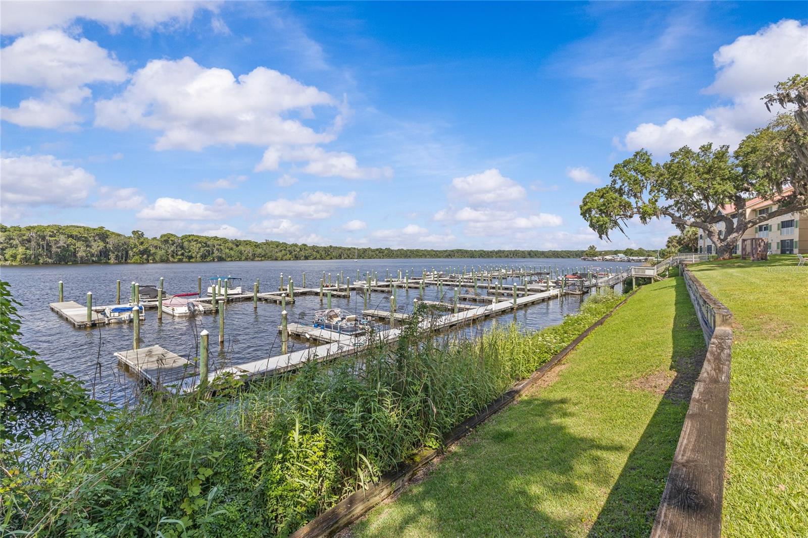 99 BROAD RIVER PL #3206, WELAKA, FL, 32193