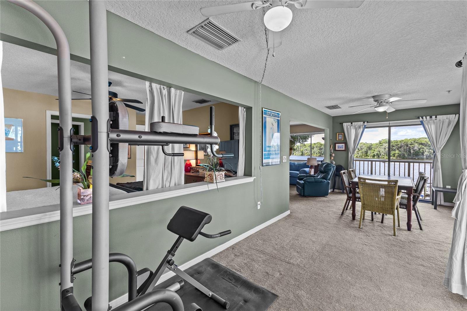 99 BROAD RIVER PL #3206, WELAKA, FL, 32193