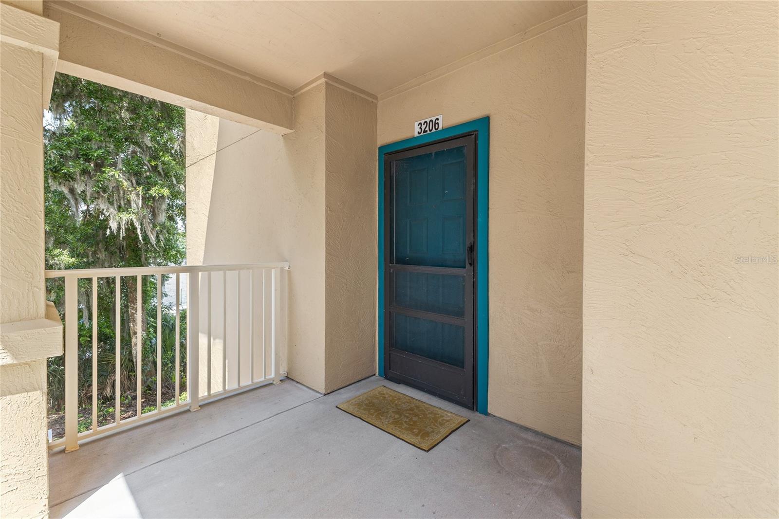 99 BROAD RIVER PL #3206, WELAKA, FL, 32193