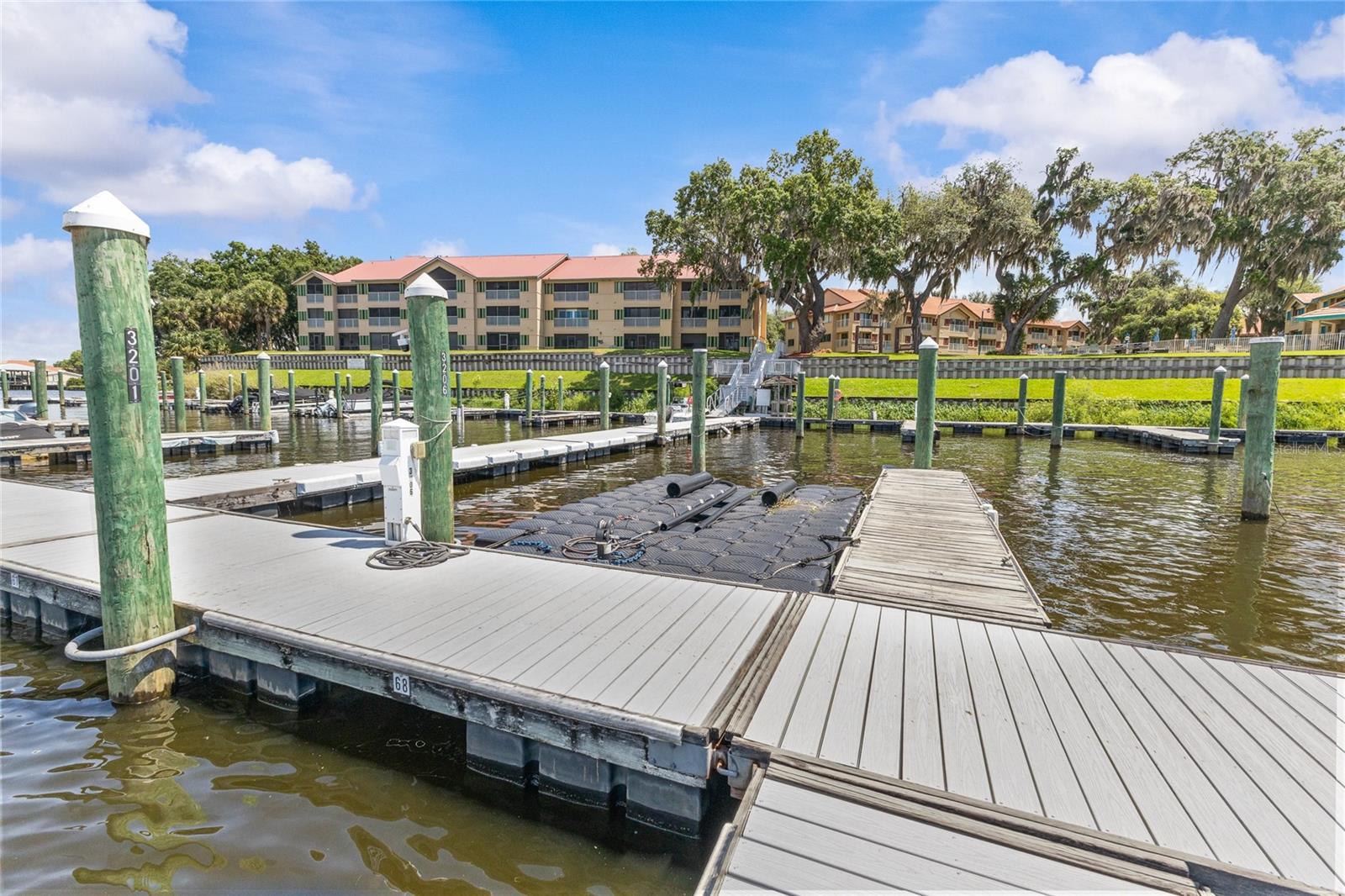 99 BROAD RIVER PL #3206, WELAKA, FL, 32193