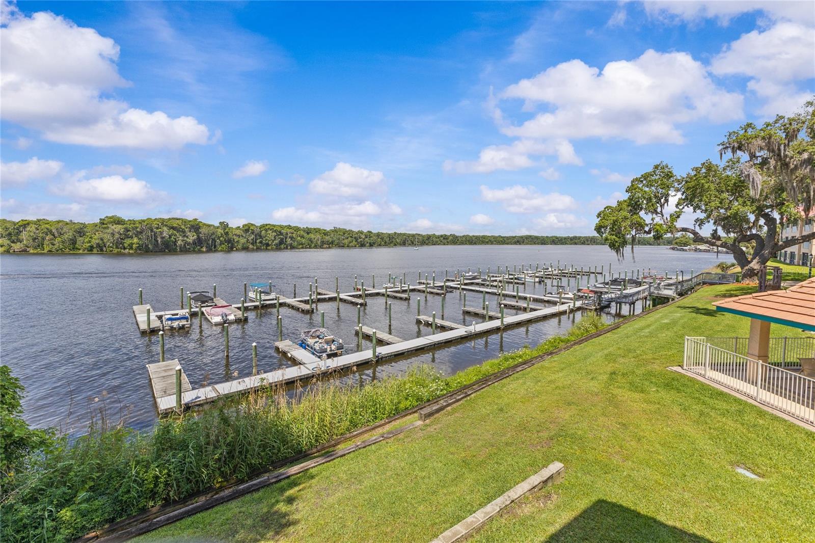 99 BROAD RIVER PL #3206, WELAKA, FL, 32193
