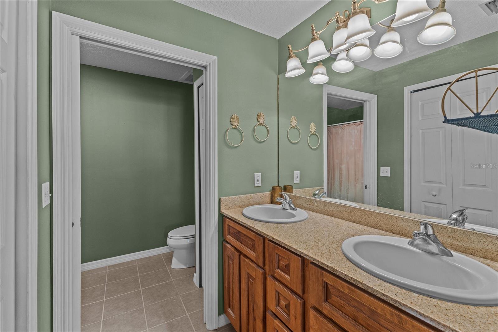 99 BROAD RIVER PL #3206, WELAKA, FL, 32193