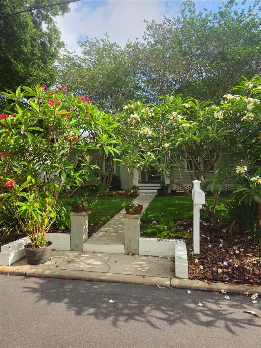 4101 W OBISPO ST, TAMPA, FL, 33629