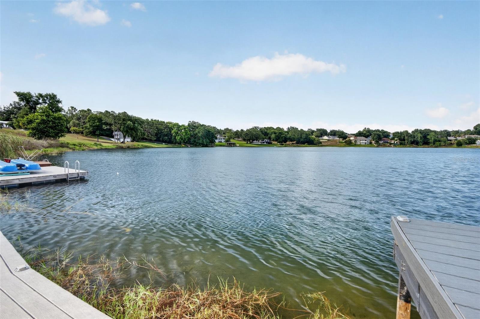 3059 S LAKESHORE CT, EUSTIS, FL, 32726