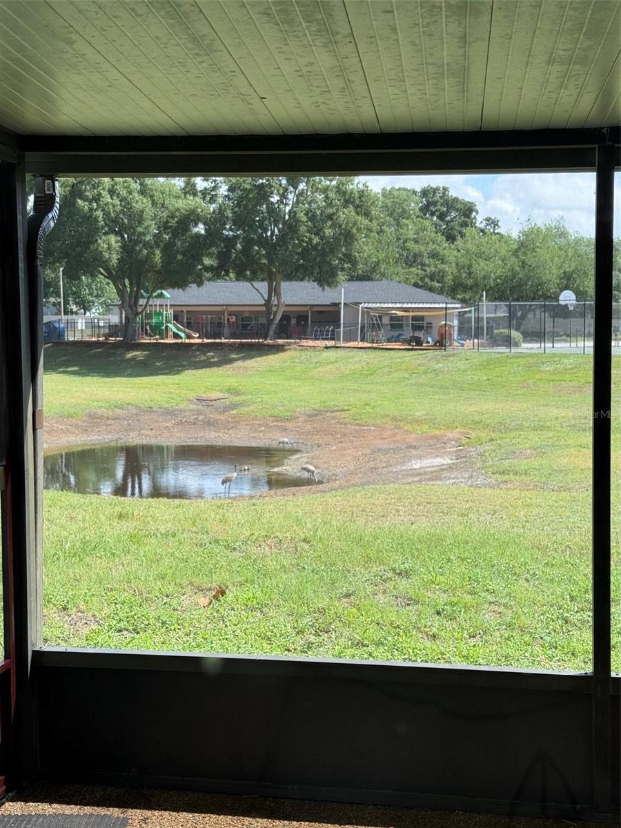 1636 BAKER RD, LUTZ, FL, 33559