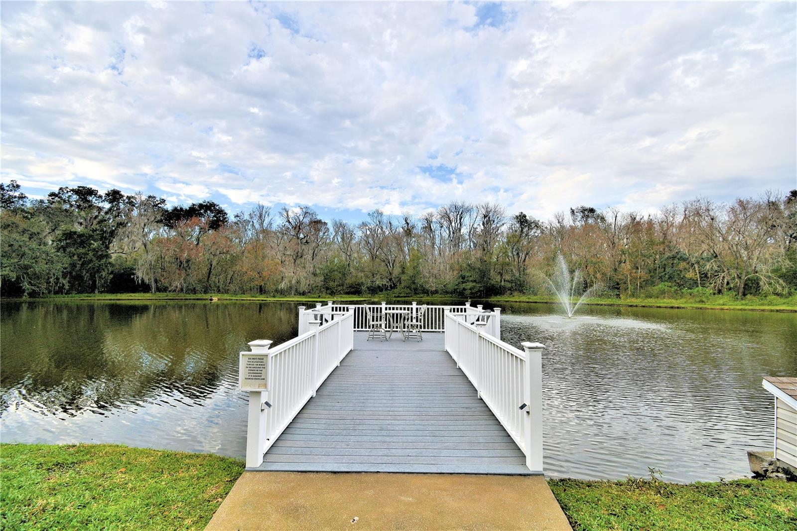 4960 GOLDENVIEW LN, LAKELAND, FL, 33811