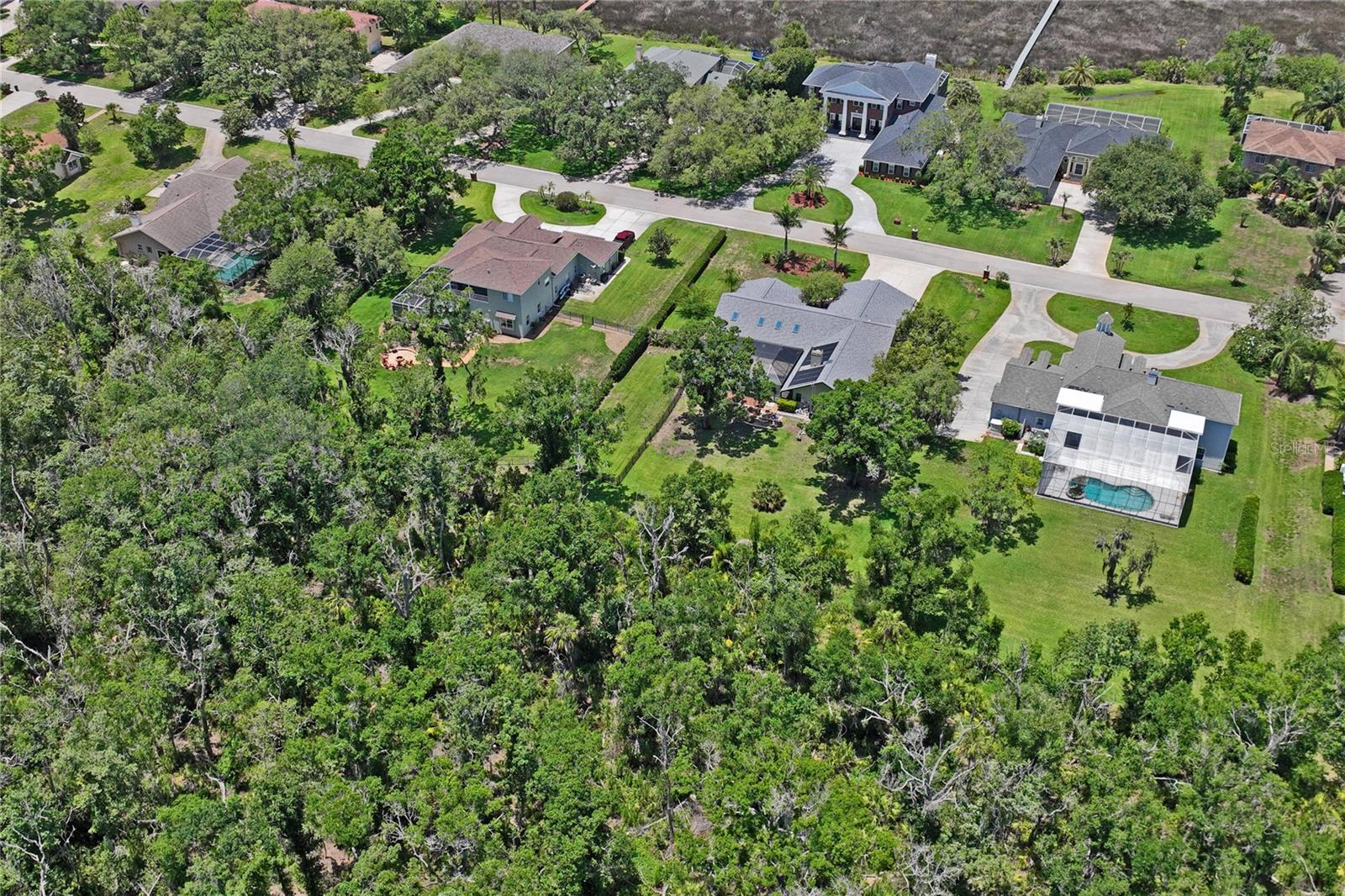 1087 RIVERSIDE RDG, TARPON SPRINGS, FL, 34688