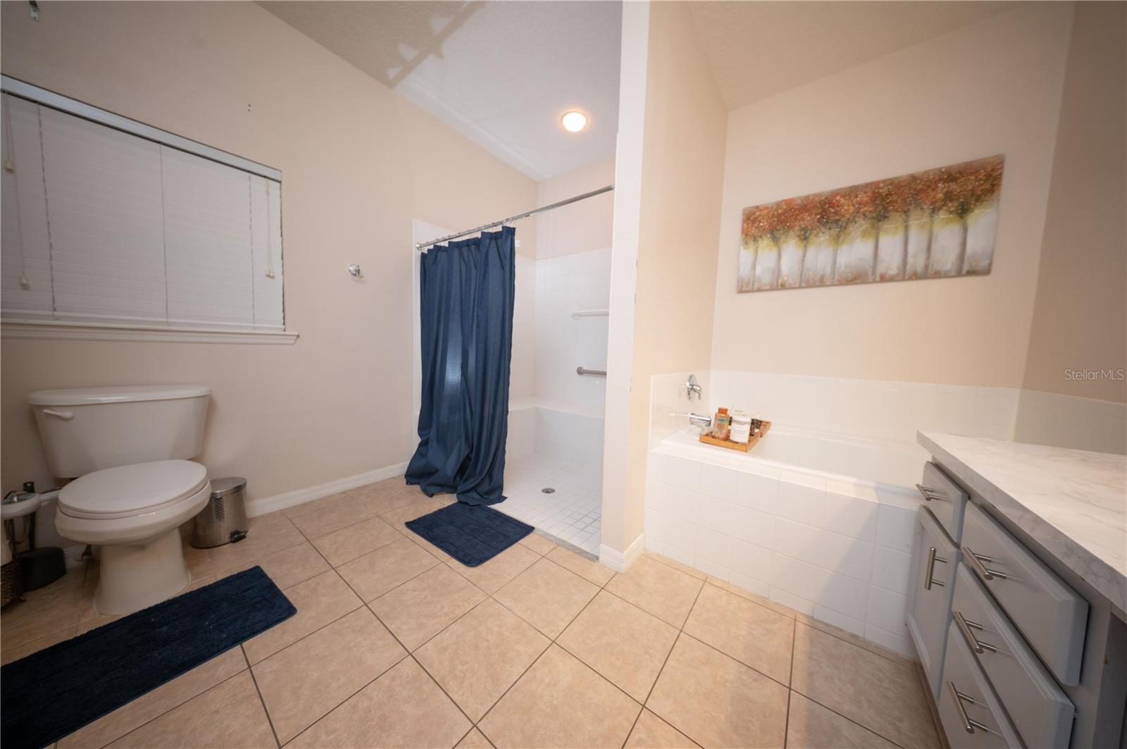 8032 ACADIA ESTATES CT, KISSIMMEE, FL, 34747