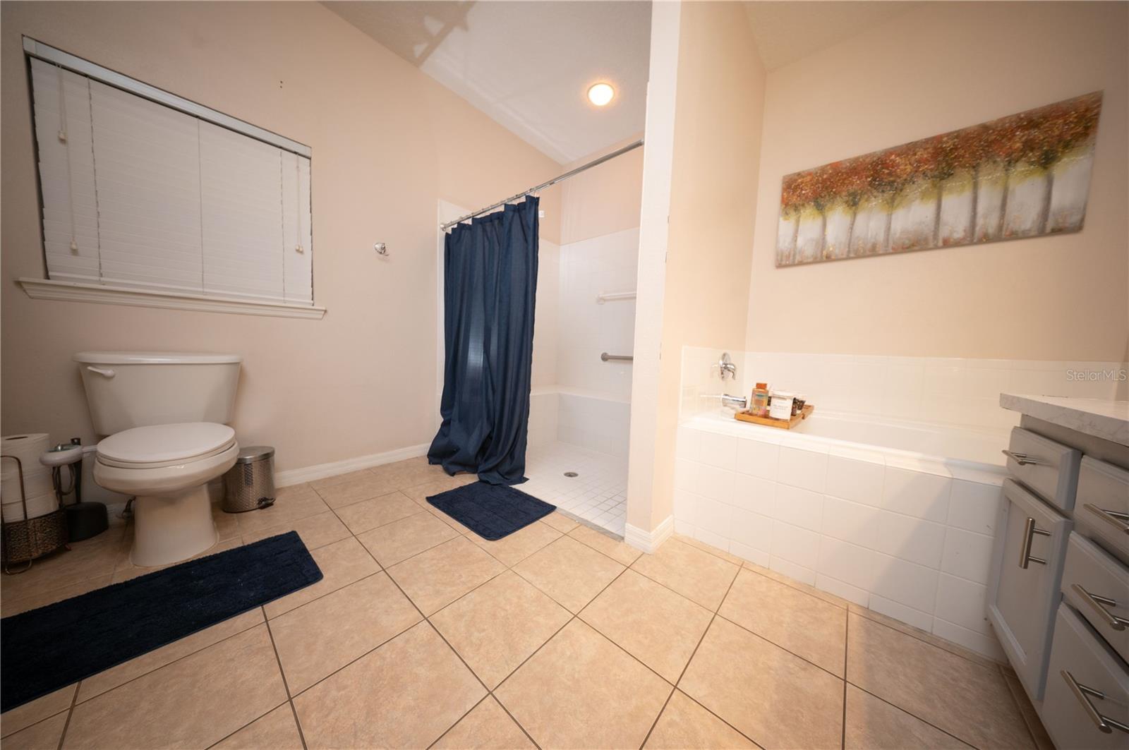 8032 ACADIA ESTATES CT, KISSIMMEE, FL, 34747
