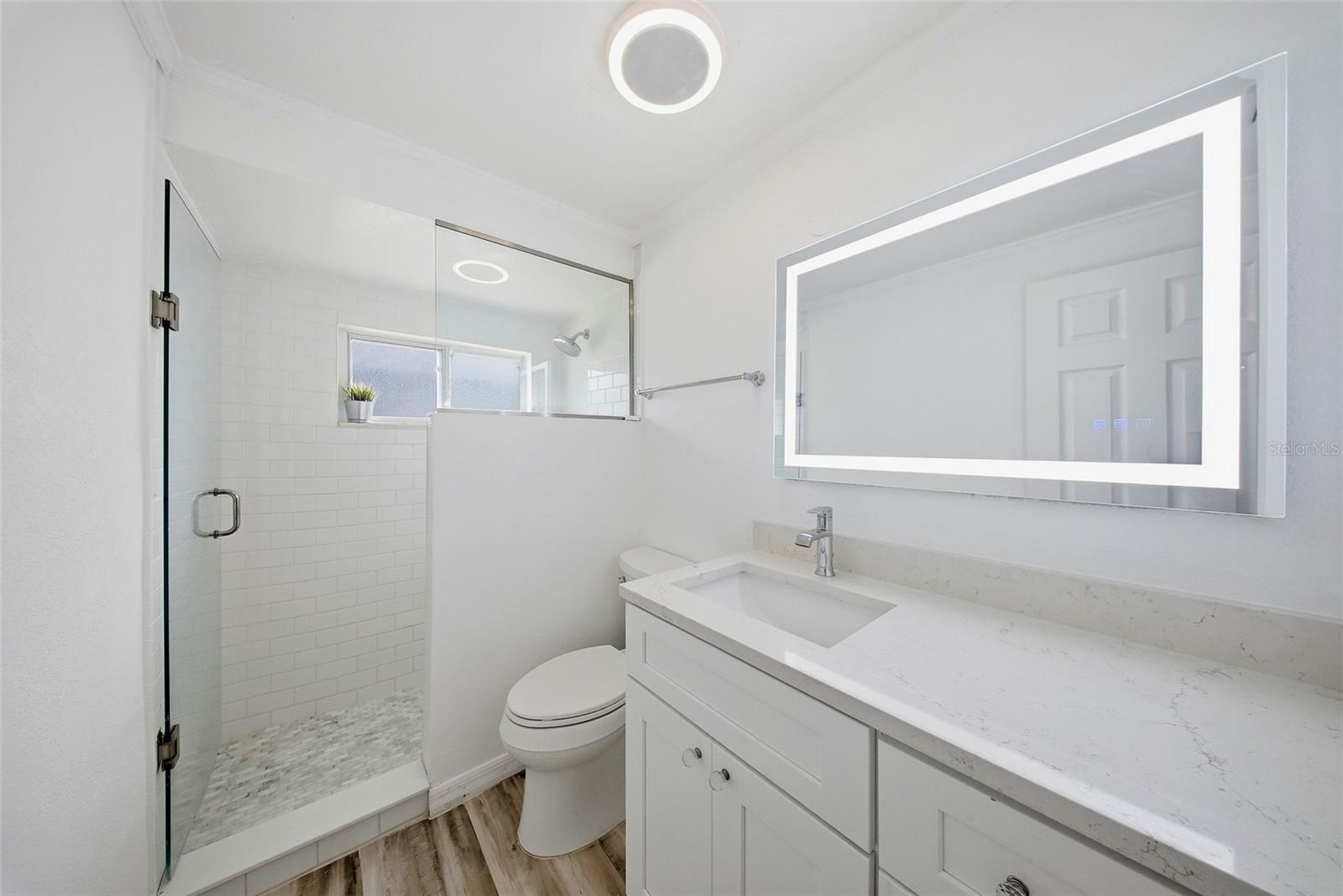 1565 CONNECTICUT AVE NE, ST PETERSBURG, FL, 33703