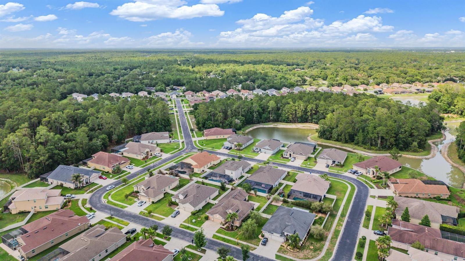 27205 HAWKS NEST CIR, WESLEY CHAPEL, FL, 33544