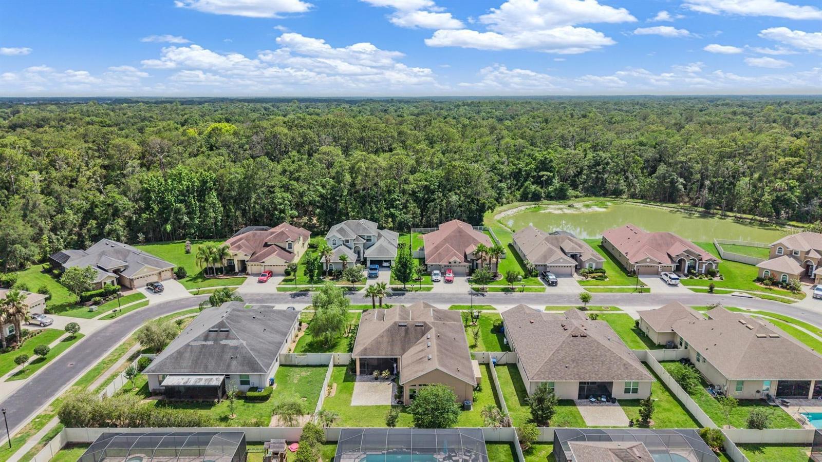 27205 HAWKS NEST CIR, WESLEY CHAPEL, FL, 33544