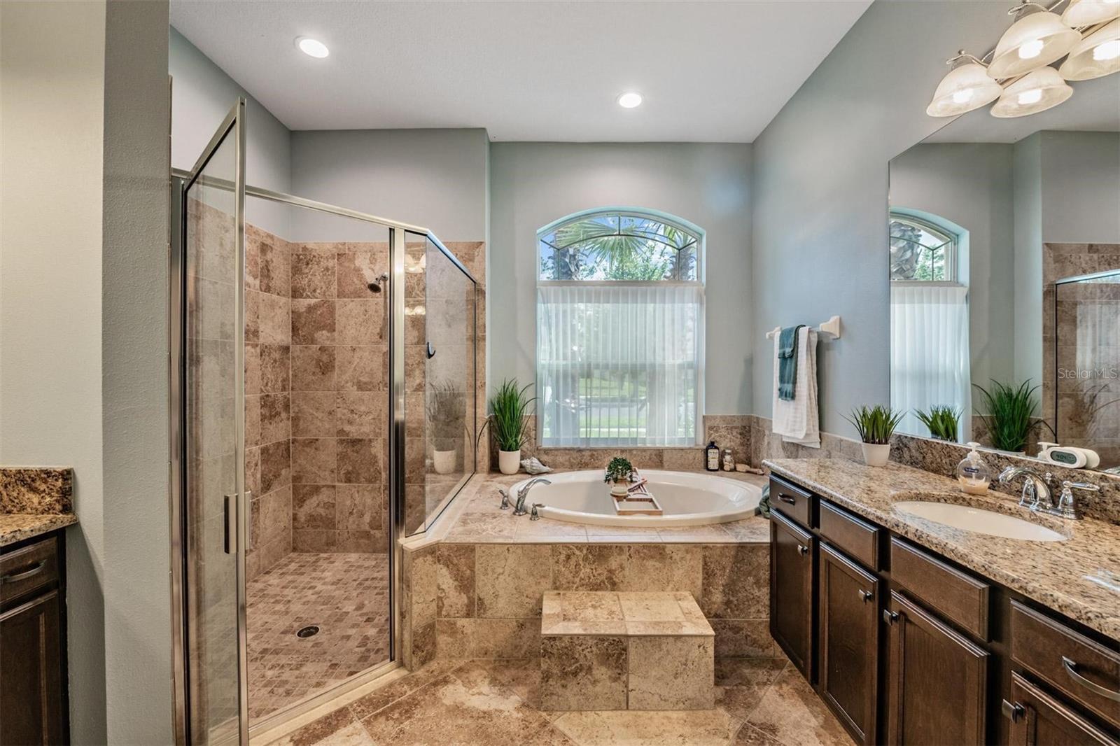 27205 HAWKS NEST CIR, WESLEY CHAPEL, FL, 33544