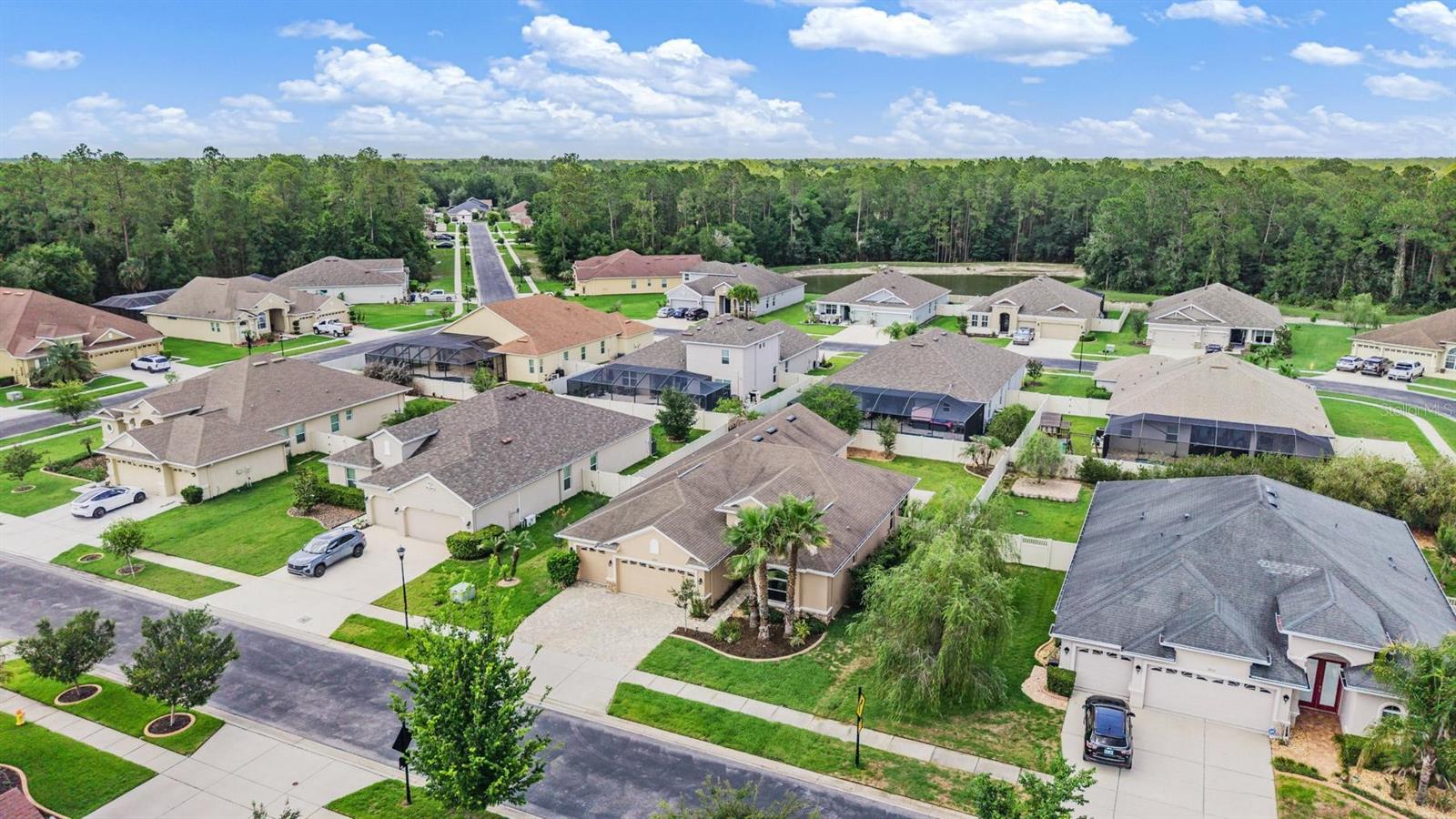 27205 HAWKS NEST CIR, WESLEY CHAPEL, FL, 33544