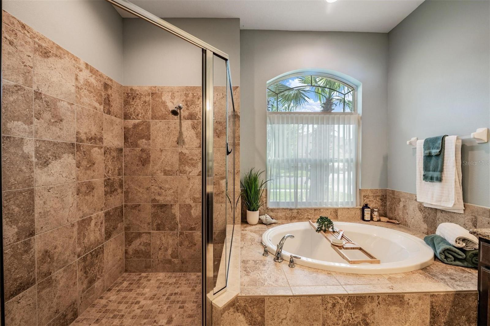 27205 HAWKS NEST CIR, WESLEY CHAPEL, FL, 33544